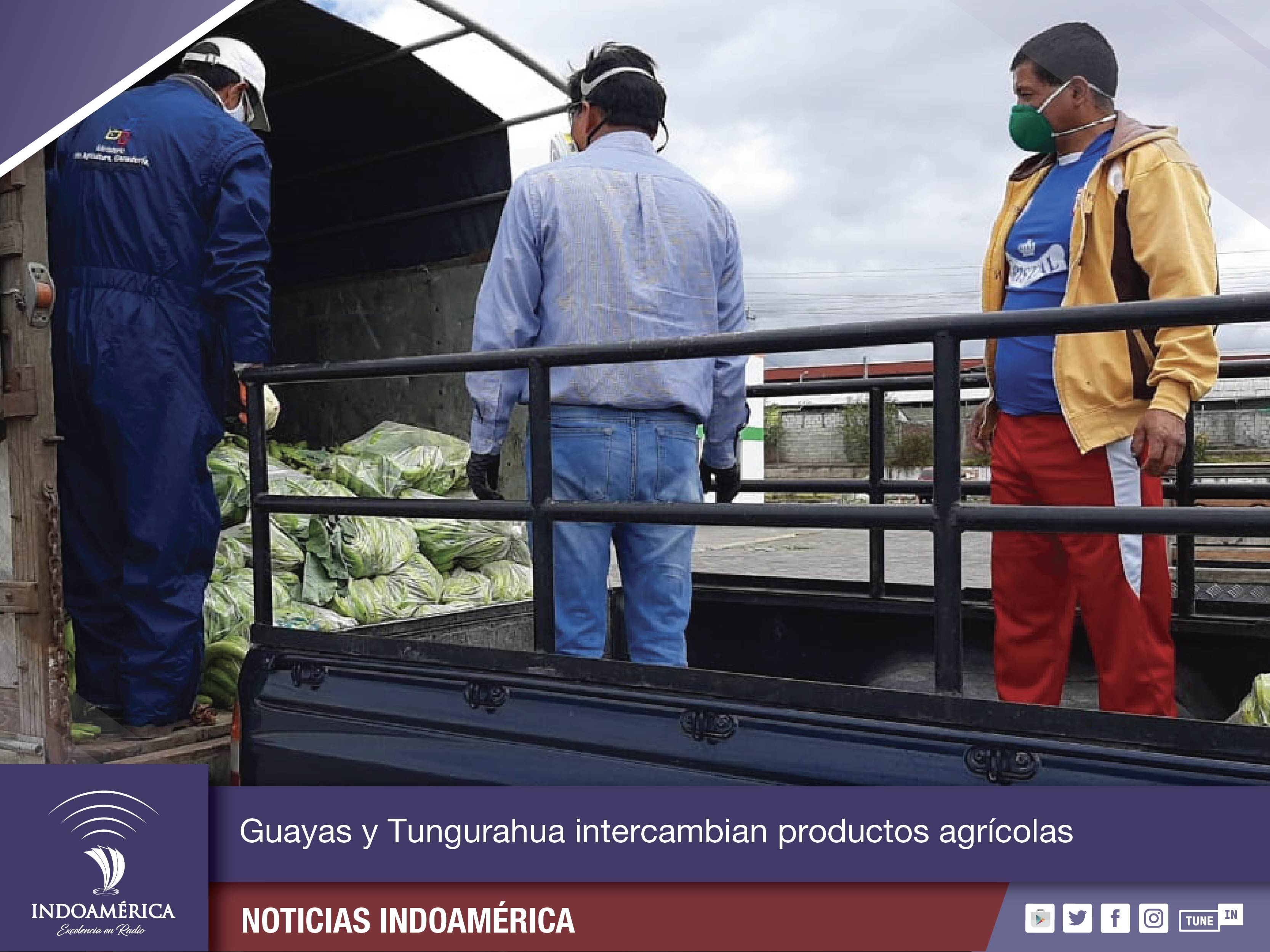Tungurahua y Guayas intercambian productos agrícolas